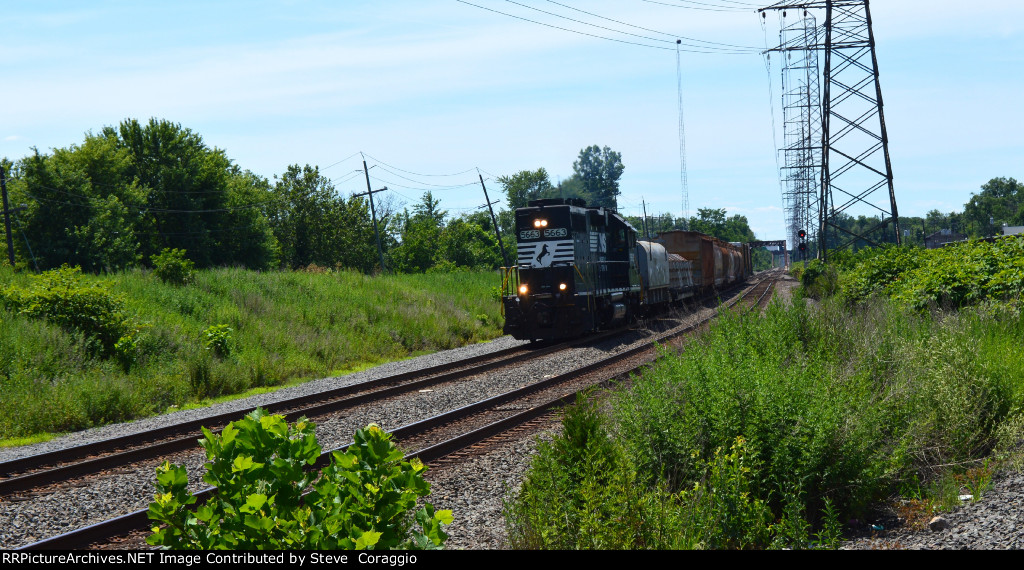   NS 5663 Long Hood Shot & Heritage  